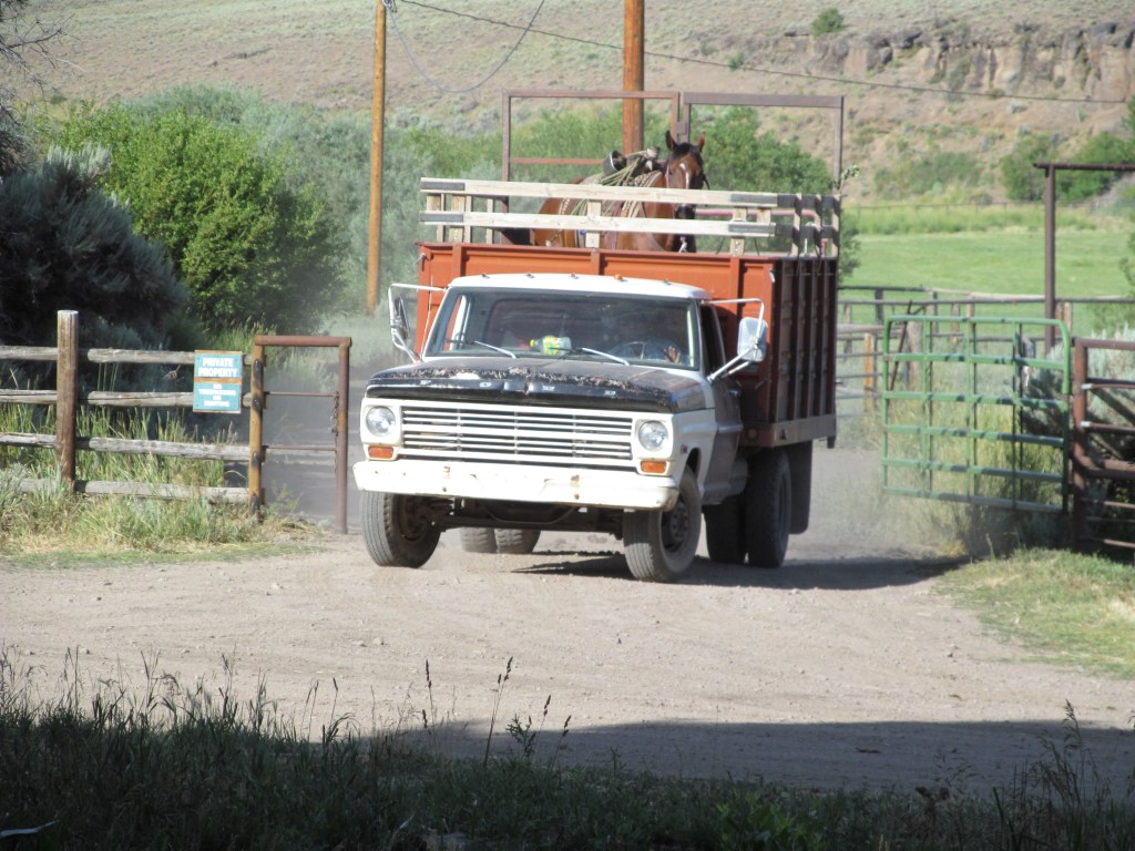 If you think this doesn't look like a good start to your work day, you shouldn't be a cowboy.