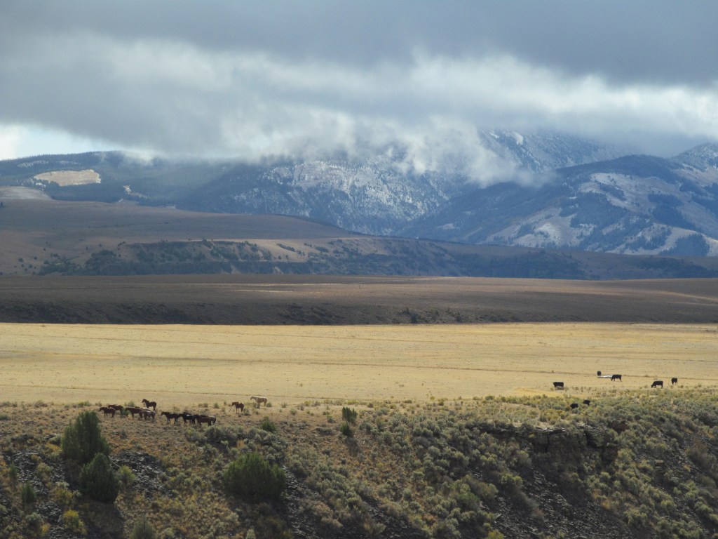 Now there's a pretty sight not just anyone gets to witness in person!