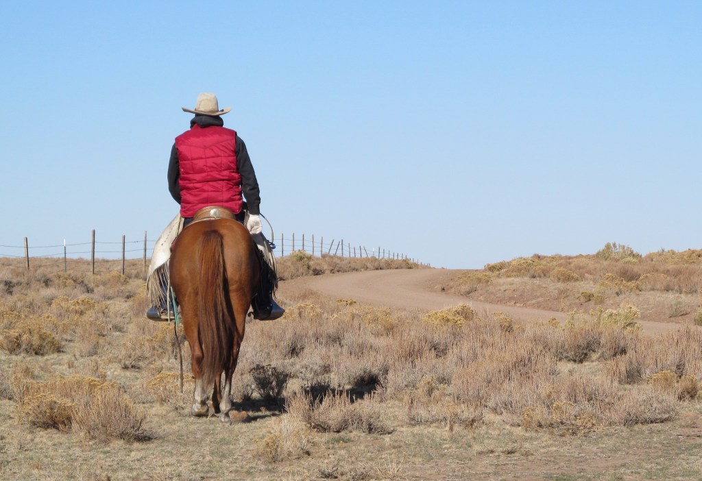 There he goes, riding a horse by himself all day for a living. We actually do own this knot head, Bob, aka "Bobalicious," "Fluffy," or "Jim's Favorite Horse," or "You #*@&@(#&!"