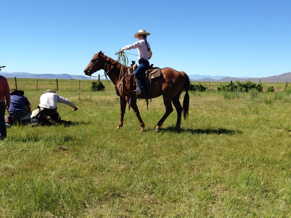 10508325_10203579945331156_497028869_n