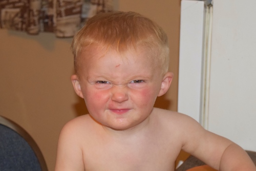dsc_0635-500x334